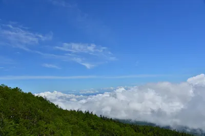 DSC_3618 (Large).JPG